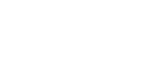 Struddys